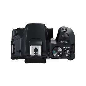 Fotoconductor epson c13s051202 magenta 30k